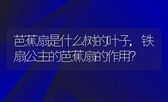 芭蕉扇是什么树的叶子,铁扇公主的芭蕉扇的作用？ | 养殖科普