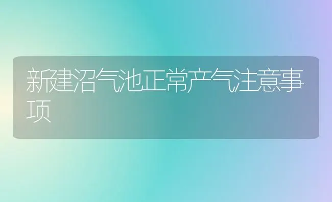 新建沼气池正常产气注意事项 | 养殖技术大全