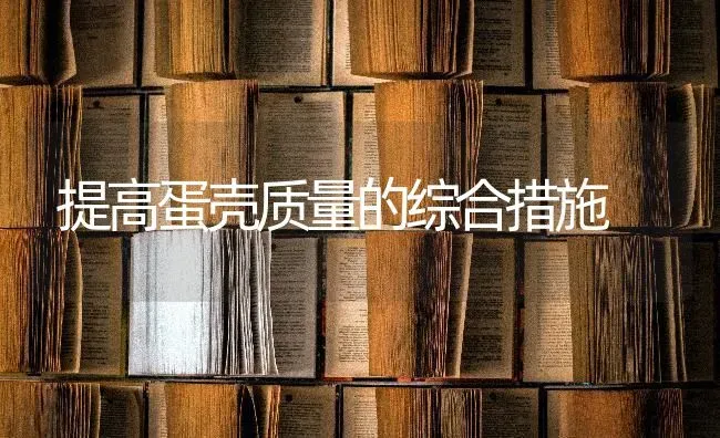 提高蛋壳质量的综合措施 | 养殖知识