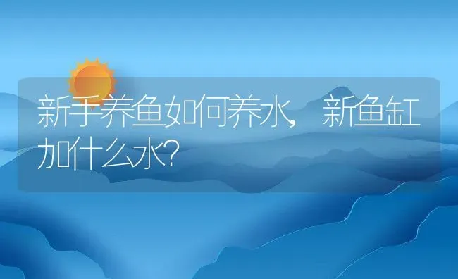 新手养鱼如何养水,新鱼缸加什么水？ | 养殖学堂