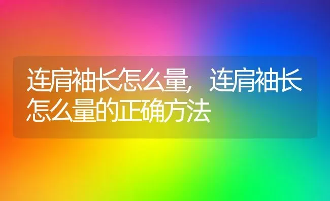 连肩袖长怎么量,连肩袖长怎么量的正确方法 | 养殖科普