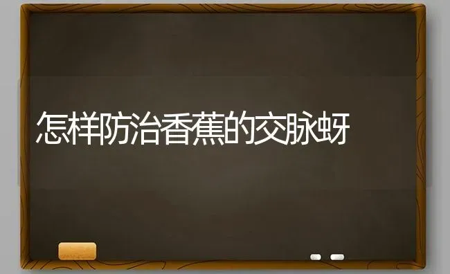 怎样防治香蕉的交脉蚜 | 养殖知识