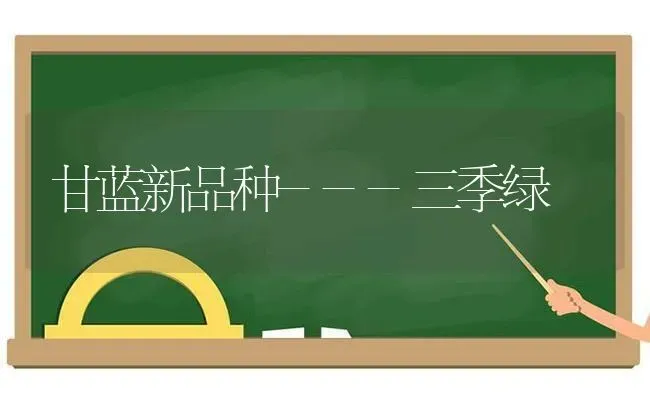 甘蓝新品种---三季绿 | 养殖技术大全