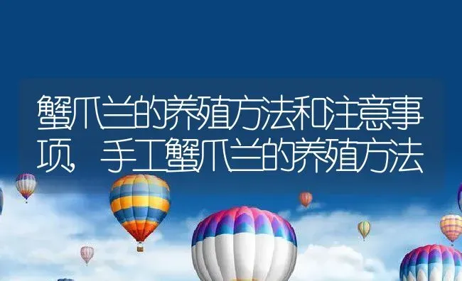 蟹爪兰的养殖方法和注意事项,手工蟹爪兰的养殖方法 | 养殖学堂