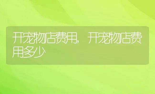 开宠物店费用,开宠物店费用多少 | 养殖资料