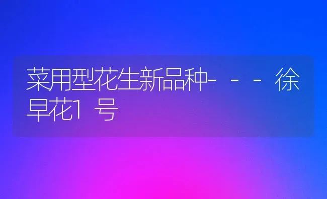 春夏甘蓝连茬种 | 养殖技术大全