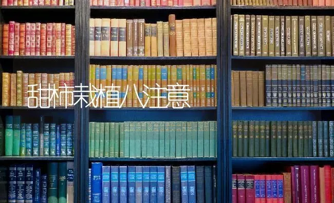 甜柿栽植八注意 | 养殖技术大全