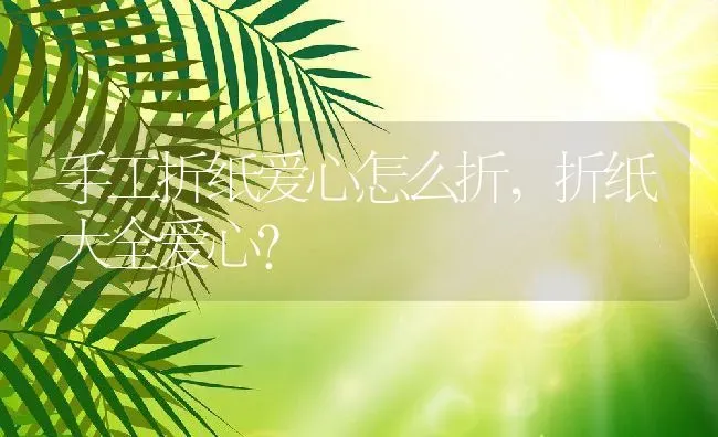 手工折纸爱心怎么折,折纸大全爱心？ | 养殖学堂