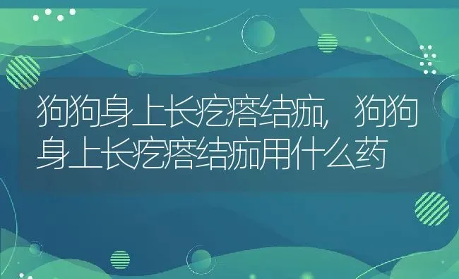 狗狗身上长疙瘩结痂,狗狗身上长疙瘩结痂用什么药 | 养殖科普