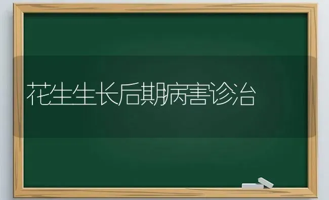 花生生长后期病害诊治 | 养殖知识