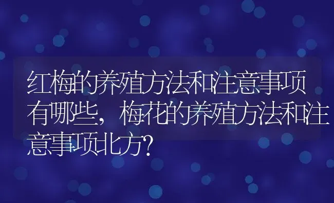 红梅的养殖方法和注意事项有哪些,梅花的养殖方法和注意事项北方？ | 养殖科普