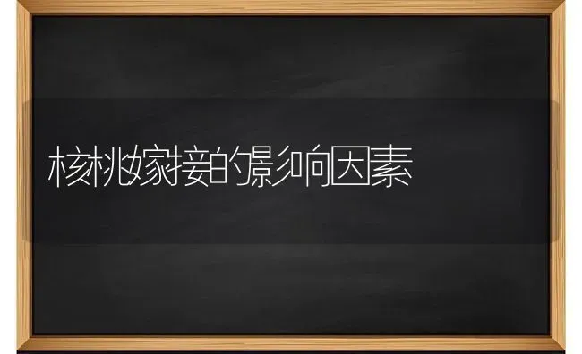 核桃嫁接的影响因素 | 养殖技术大全