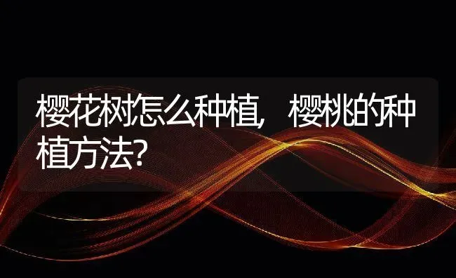 樱花树怎么种植,樱桃的种植方法？ | 养殖科普