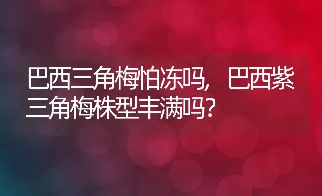 巴西三角梅怕冻吗,巴西紫三角梅株型丰满吗？ | 养殖科普