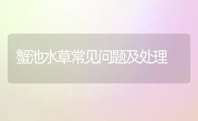 蟹池水草常见问题及处理 | 养殖知识