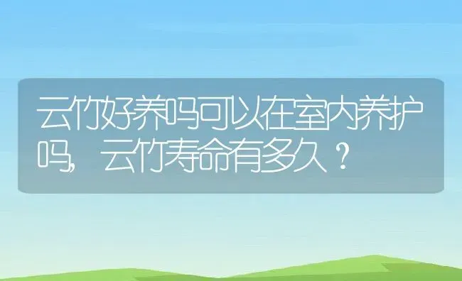 云竹好养吗可以在室内养护吗,云竹寿命有多久？ | 养殖科普