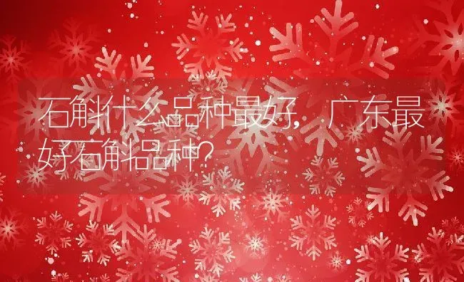 石斛什么品种最好,广东最好石斛品种？ | 养殖科普