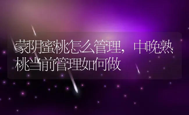 蒙阴蜜桃怎么管理,中晚熟桃当前管理如何做 | 养殖学堂