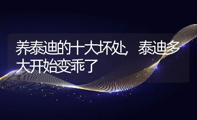 养泰迪的十大坏处,泰迪多大开始变乖了 | 养殖资料