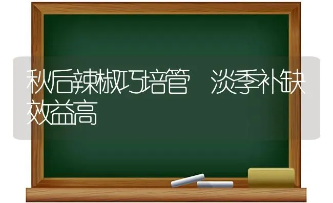 秋后辣椒巧培管 淡季补缺效益高 | 养殖技术大全