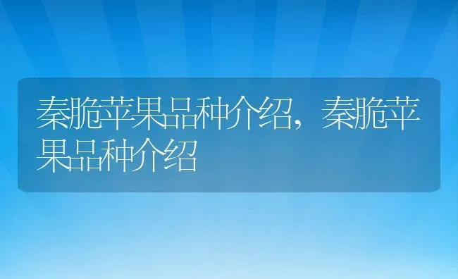 秦脆苹果品种介绍,秦脆苹果品种介绍 | 养殖科普