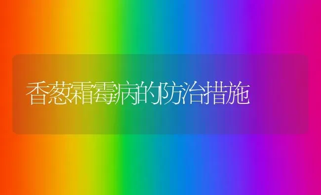 香葱霜霉病的防治措施 | 养殖知识