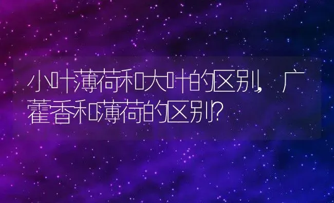 小叶薄荷和大叶的区别,广藿香和薄荷的区别？ | 养殖科普