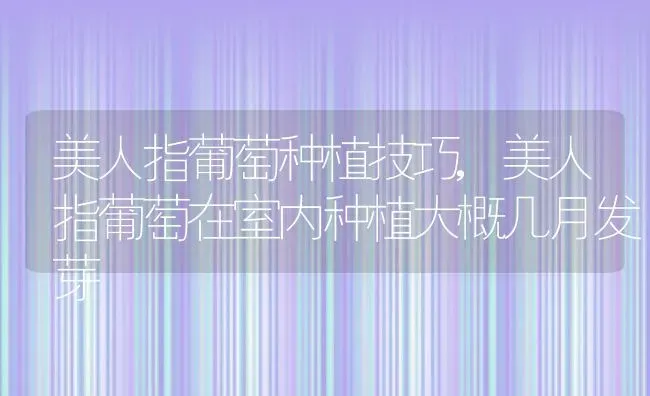 美人指葡萄种植技巧,美人指葡萄在室内种植大概几月发芽 | 养殖学堂
