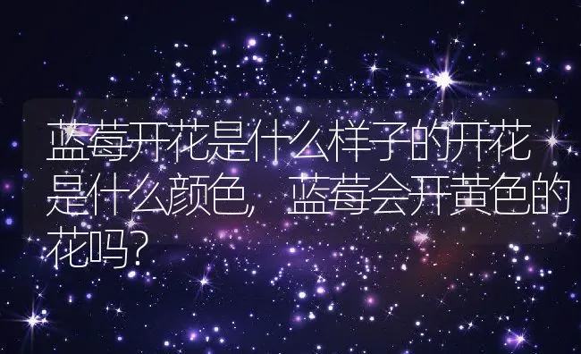 蓝莓开花是什么样子的开花是什么颜色,蓝莓会开黄色的花吗？ | 养殖科普