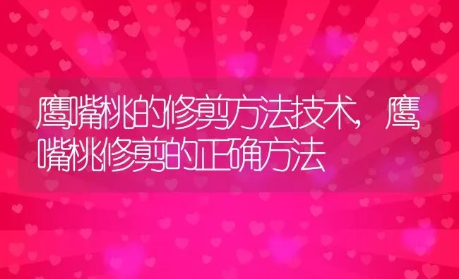 鹰嘴桃的修剪方法技术,鹰嘴桃修剪的正确方法 | 养殖学堂