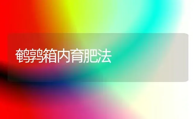 鹌鹑箱内育肥法 | 养殖知识