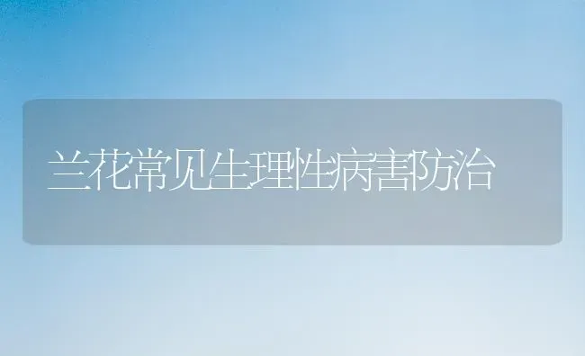 兰花常见生理性病害防治 | 养殖知识