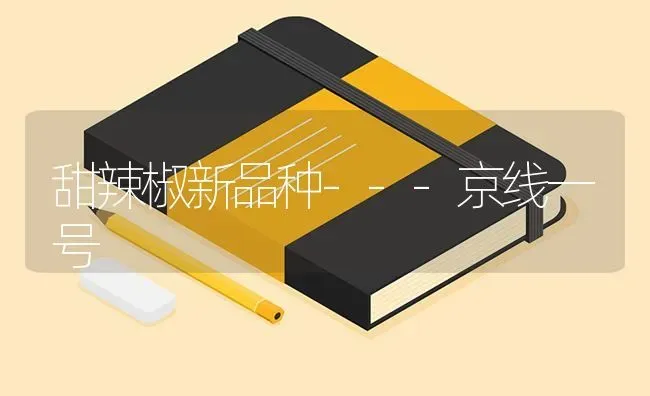 甜辣椒新品种---京线一号 | 养殖知识