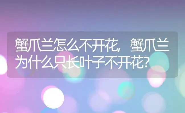 蟹爪兰怎么不开花,蟹爪兰为什么只长叶子不开花？ | 养殖学堂
