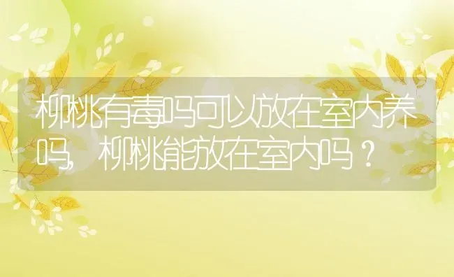 柳桃有毒吗可以放在室内养吗,柳桃能放在室内吗？ | 养殖科普