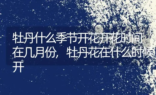 牡丹什么季节开花开花时间在几月份,牡丹花在什么时候开 | 养殖学堂