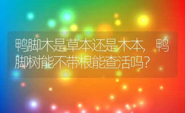 鸭脚木是草本还是木本,鸭脚树能不带根能查活吗？ | 养殖科普