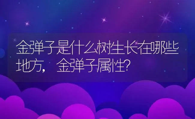 金弹子是什么树生长在哪些地方,金弹子属性？ | 养殖科普