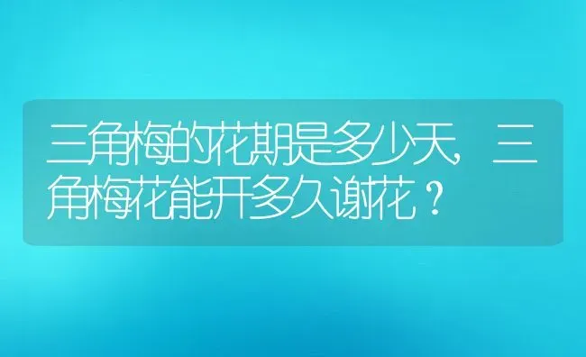 三角梅的花期是多少天,三角梅花能开多久谢花？ | 养殖科普