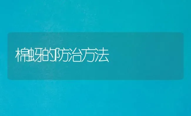 棉蚜的防治方法 | 养殖技术大全