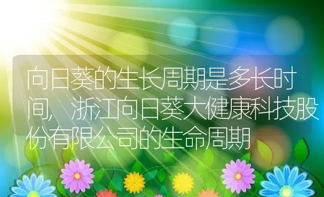 向日葵的生长周期是多长时间,浙江向日葵大健康科技股份有限公司的生命周期 | 养殖学堂