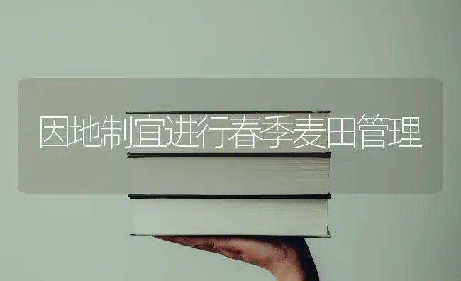 因地制宜进行春季麦田管理 | 养殖知识
