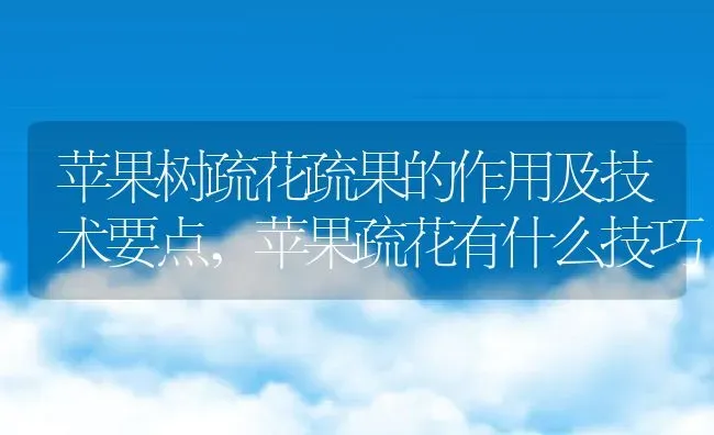 苹果树疏花疏果的作用及技术要点,苹果疏花有什么技巧 | 养殖学堂