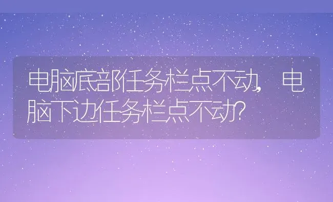 电脑底部任务栏点不动,电脑下边任务栏点不动？ | 养殖科普