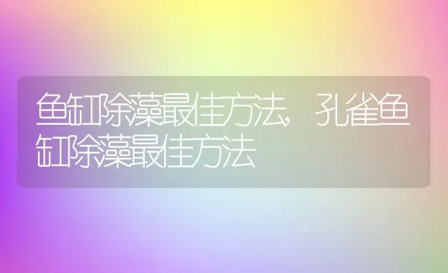 鱼缸除藻最佳方法,孔雀鱼缸除藻最佳方法 | 养殖科普