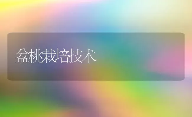 盆桃栽培技术 | 养殖技术大全