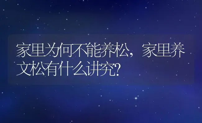 家里为何不能养松,家里养文松有什么讲究？ | 养殖科普