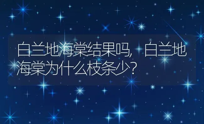 白兰地海棠结果吗,白兰地海棠为什么枝条少？ | 养殖科普