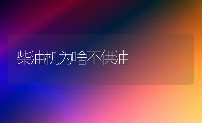 柴油机为啥不供油 | 养殖知识