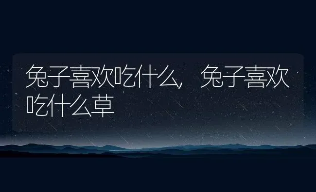 兔子喜欢吃什么,兔子喜欢吃什么草 | 养殖资料